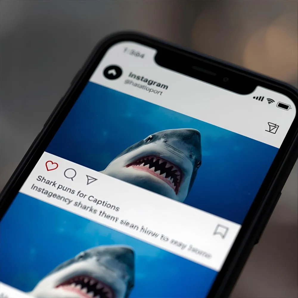 Instagram Shark Puns for Captions
