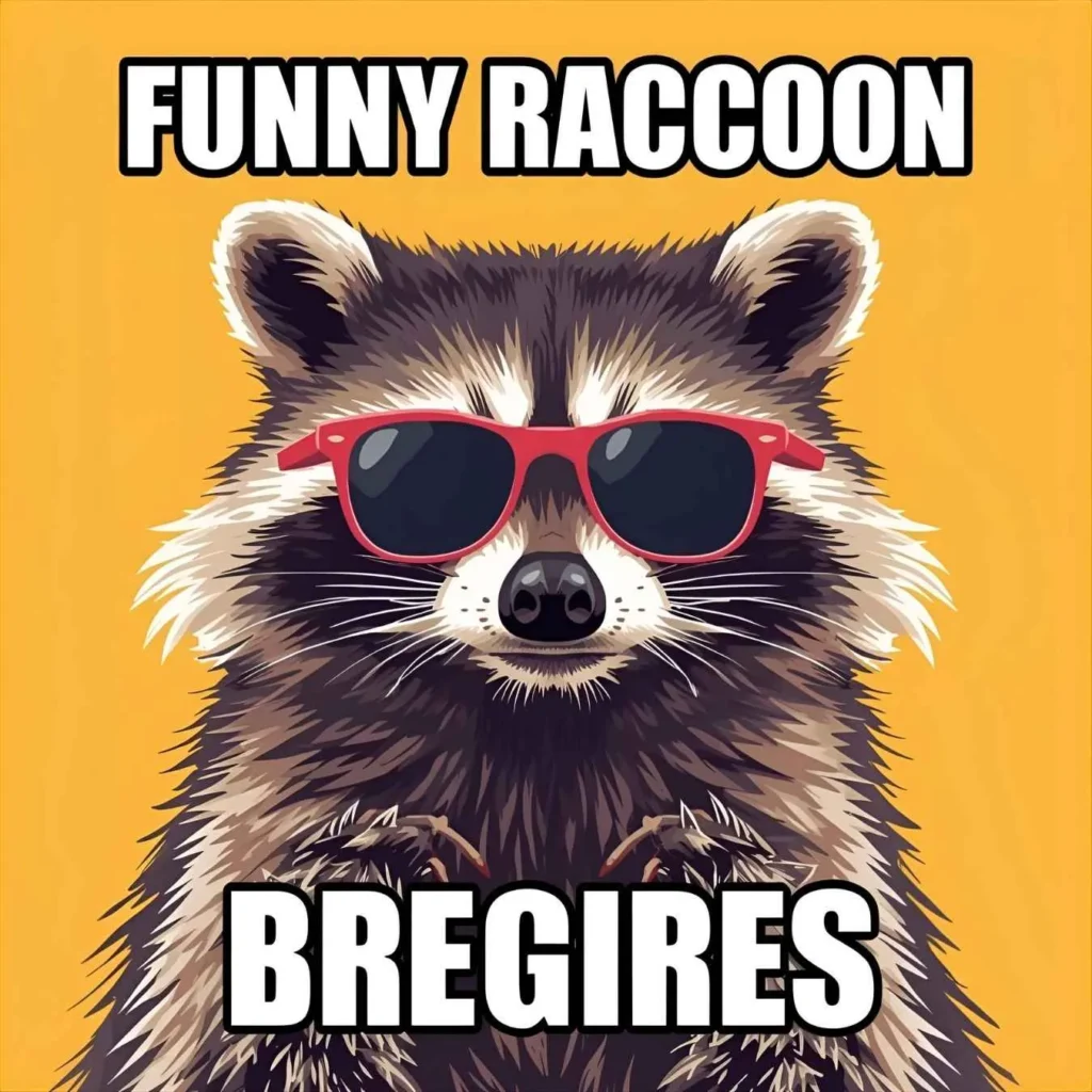 funny-raccoon-memes
