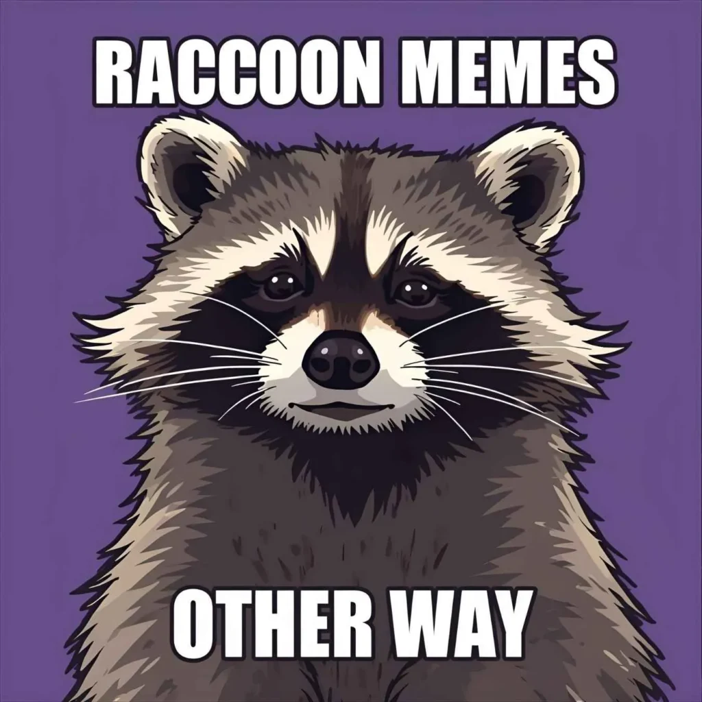 raccoon-memes-for-social-media